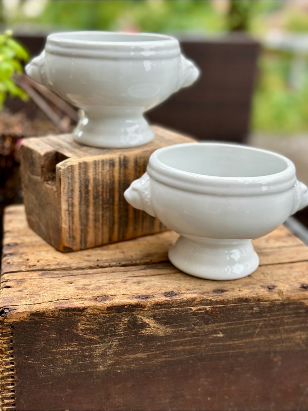 Cordon Bleu Lion Head Soup Bowls White Porcelain Set of 2